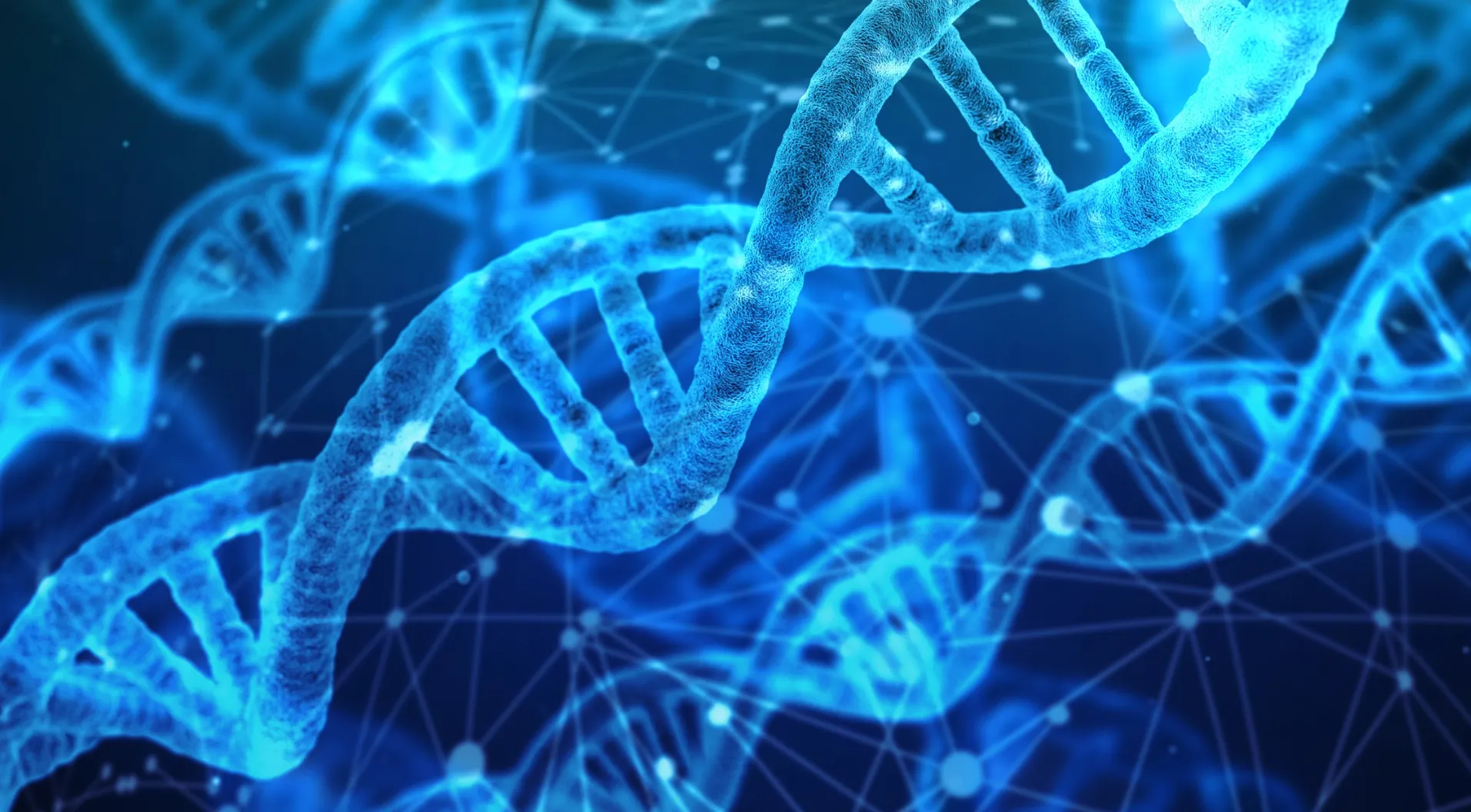 See how top innovators leverage their brand dna to drive trust, impact, and success.